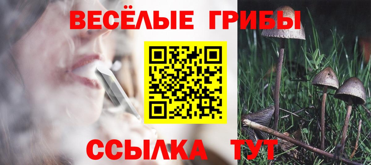 Псилоцибиновые грибы Magic Shrooms  Вход с VPN  Белая Калитва 